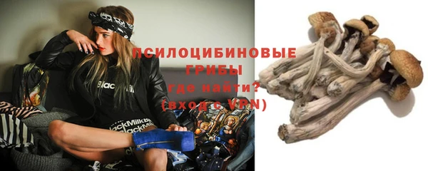 2c-b Зеленокумск