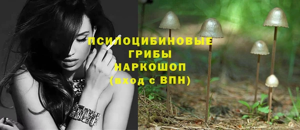 амф Зеленодольск