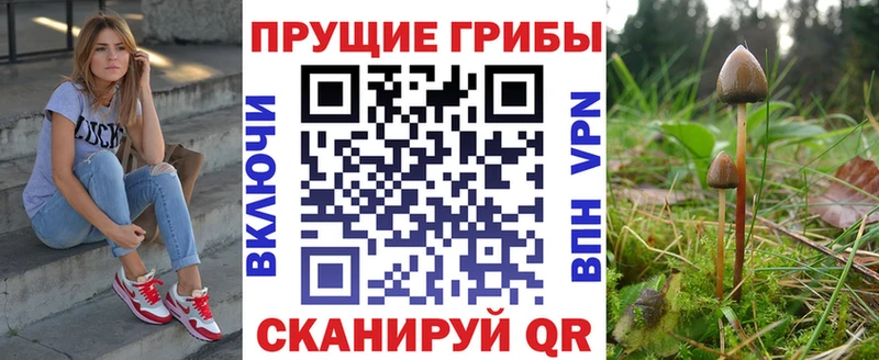 Галлюциногенные грибы MAGIC MUSHROOMS  Купить  Дрезна 