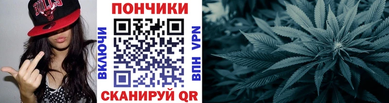 МАРИХУАНА планчик  Купить  Дрезна 